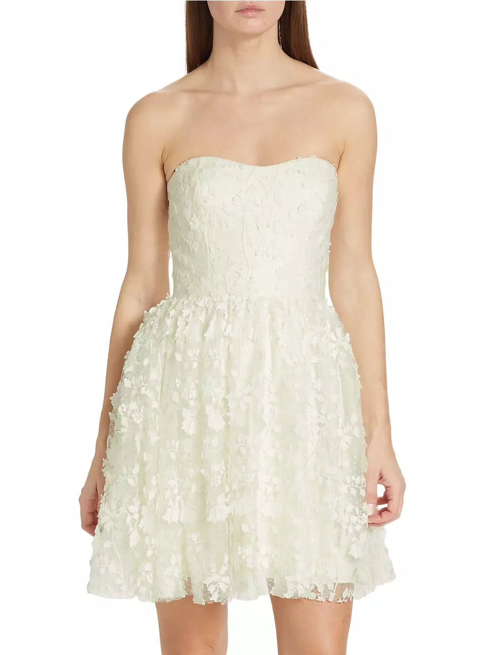 ML Monique Lhuillier Strapless Embroidered Tulle Minidress – DGFOutlet