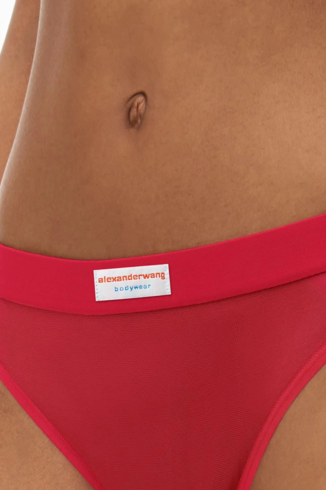 Alexander Wang Classic Brief in Fine Mesh MSRP $35