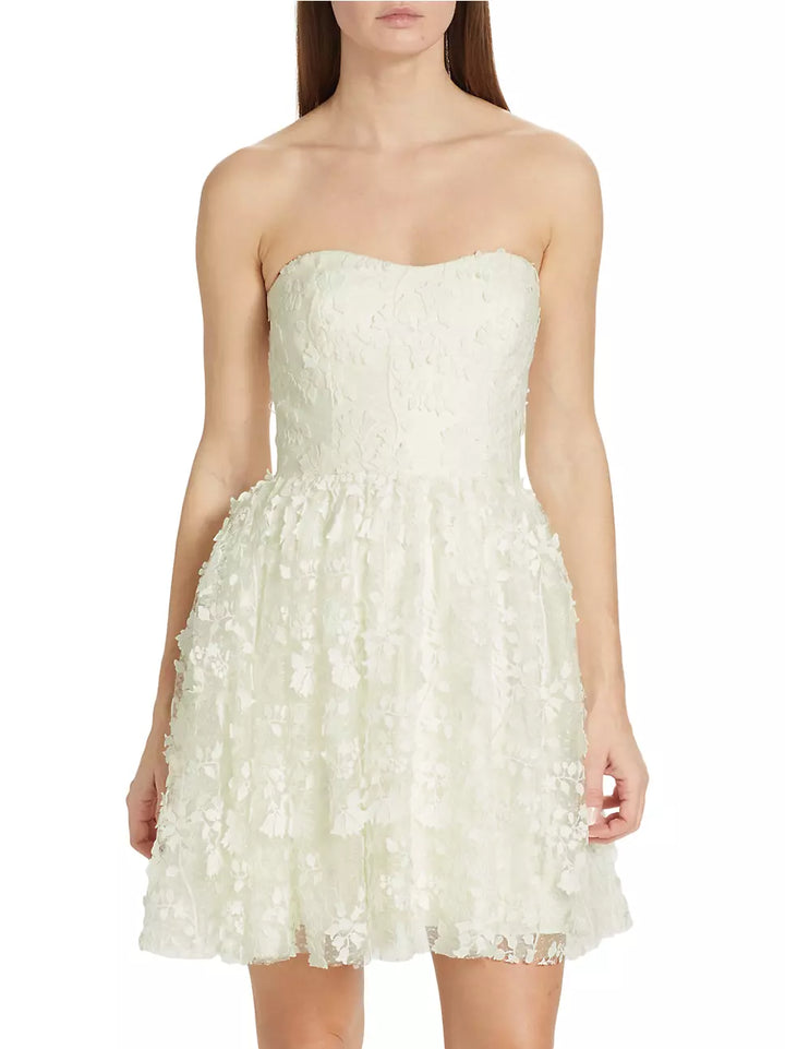 ML Monique Lhuillier Strapless Embroidered Tulle Minidress