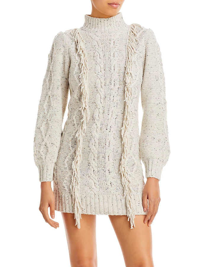 Line & Dot Daria Fringe Trim Sweater Dress