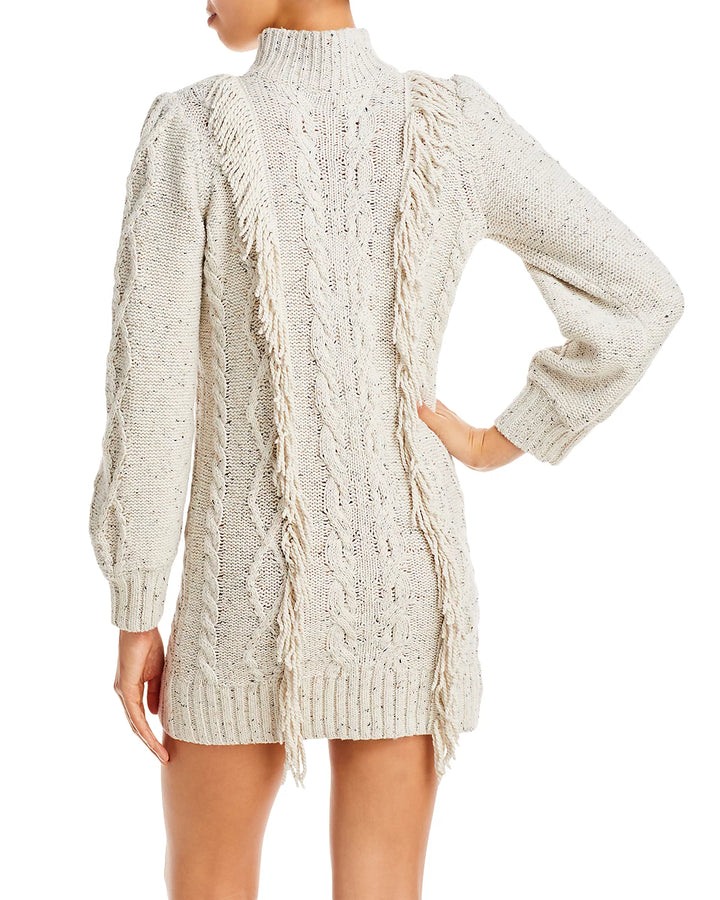 Line & Dot Daria Fringe Trim Sweater Dress