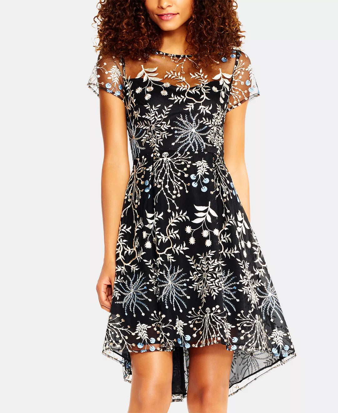 Adrianna Papell Embroidered Fit & Flare Dress