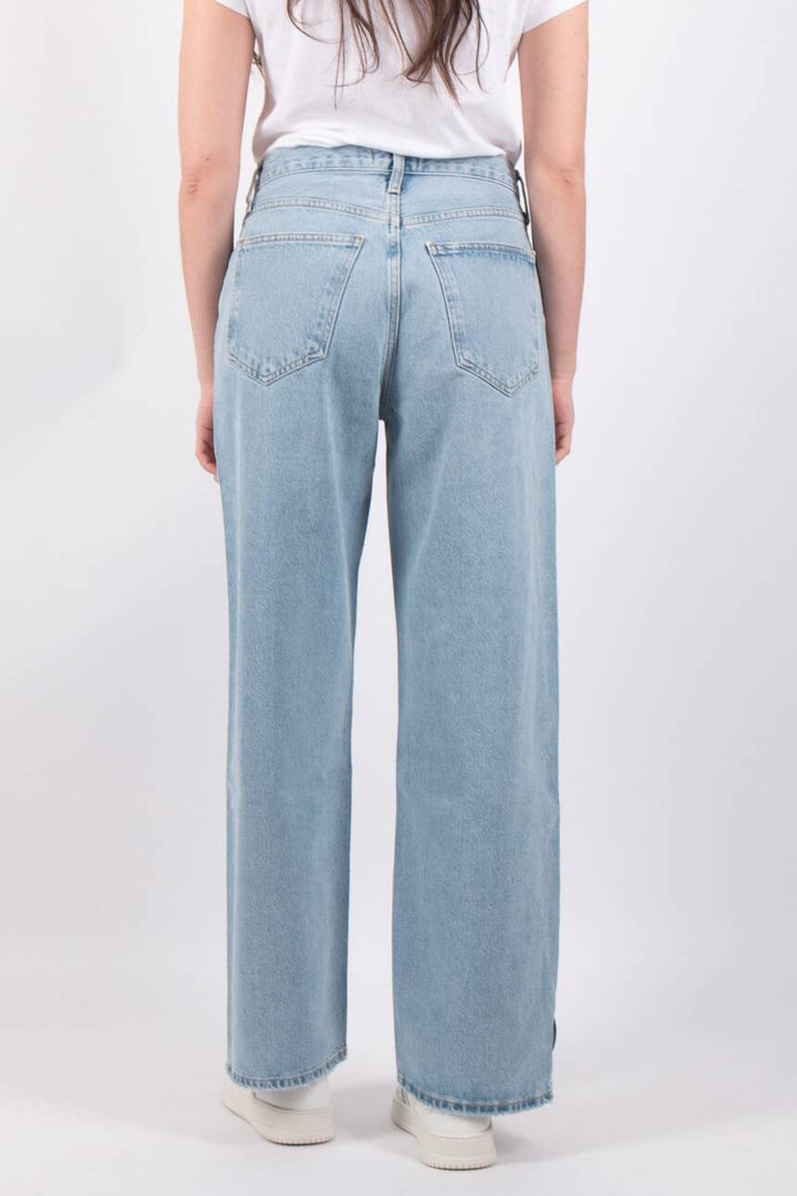 Agolde Low Rise Baggy Jeans