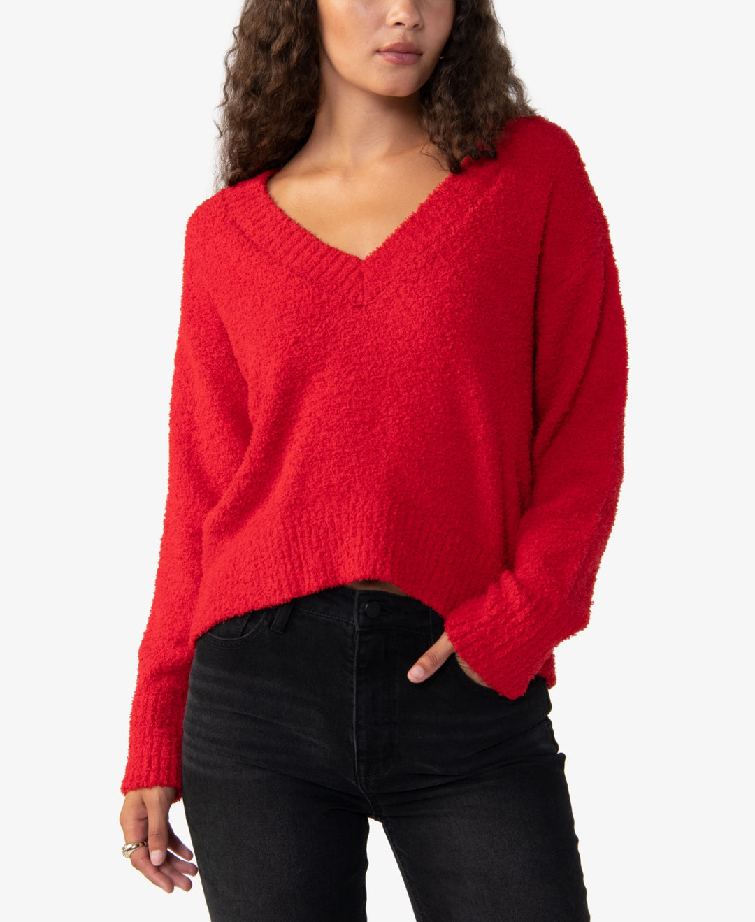 Sanctuary Plush Long Sleeve V-Neck Sweater