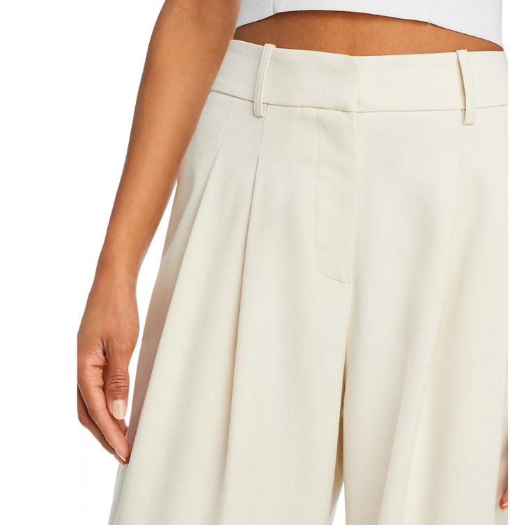 WAYF Dree Pleated Wide Leg Trousers MSRP $98