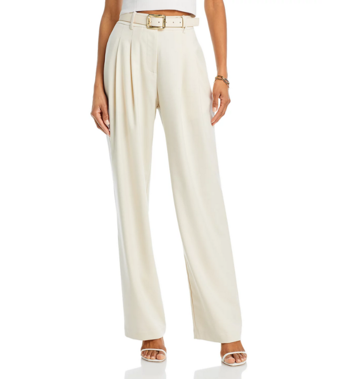 WAYF Dree Pleated Wide Leg Trousers MSRP $98