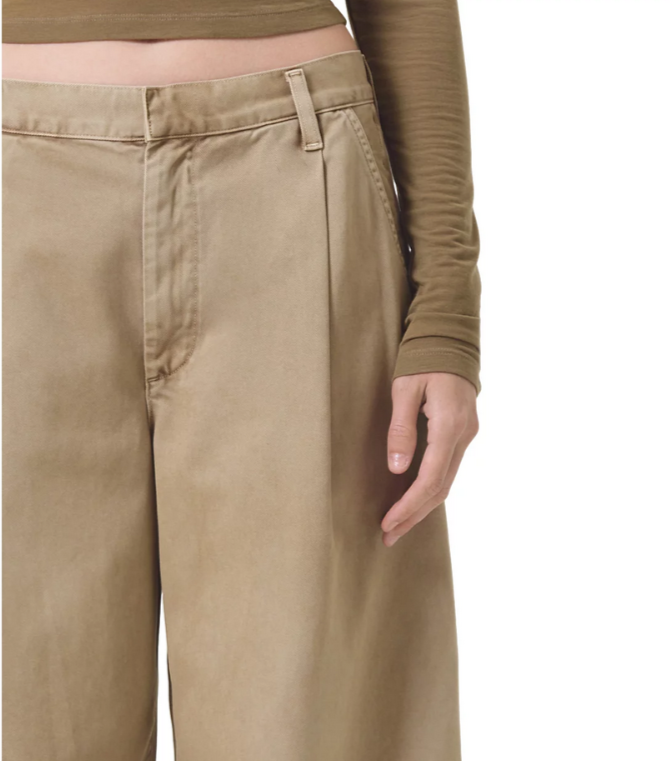 AGOLDE Daryl Wide Leg Pants MSRP $258