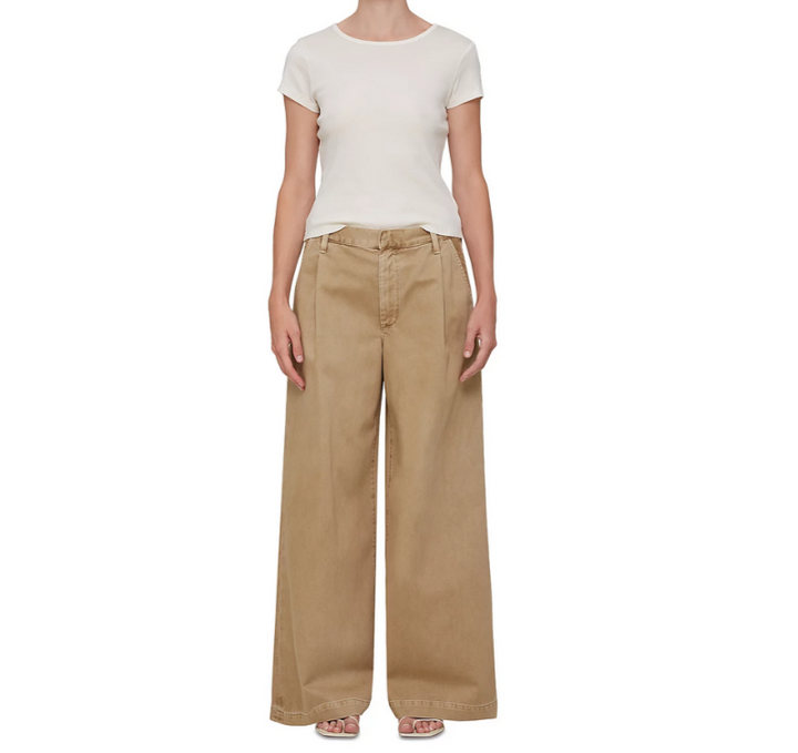 AGOLDE Daryl Wide Leg Pants MSRP $258