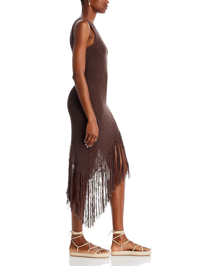Rails Rylee Fringed Dress MSRP $258