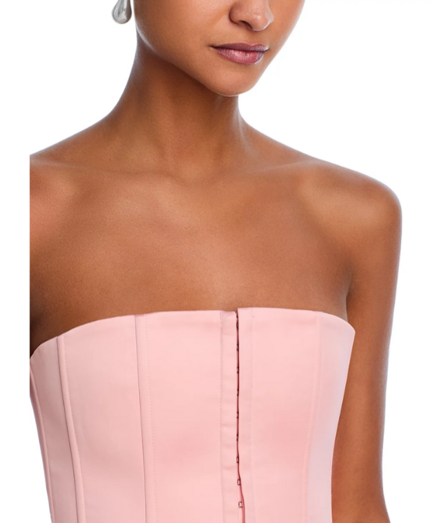 Danielle Guizio Satin Corset Top MSRP $128