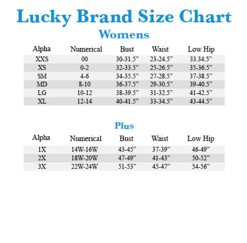 Lucky Brand Pintuck Bodice Tiered Mini MSRP $119 Size L