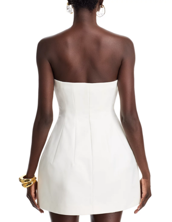 SIMKHAI Arta Bustier Mini Dress MSRP $445