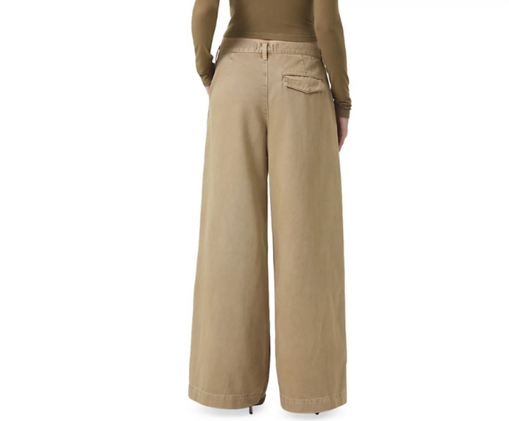 AGOLDE Daryl Wide Leg Pants MSRP $258
