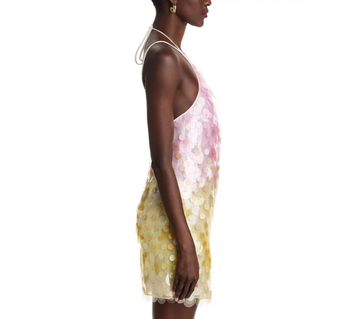 Safiyaa Emily Mini Dress MSRP $2795