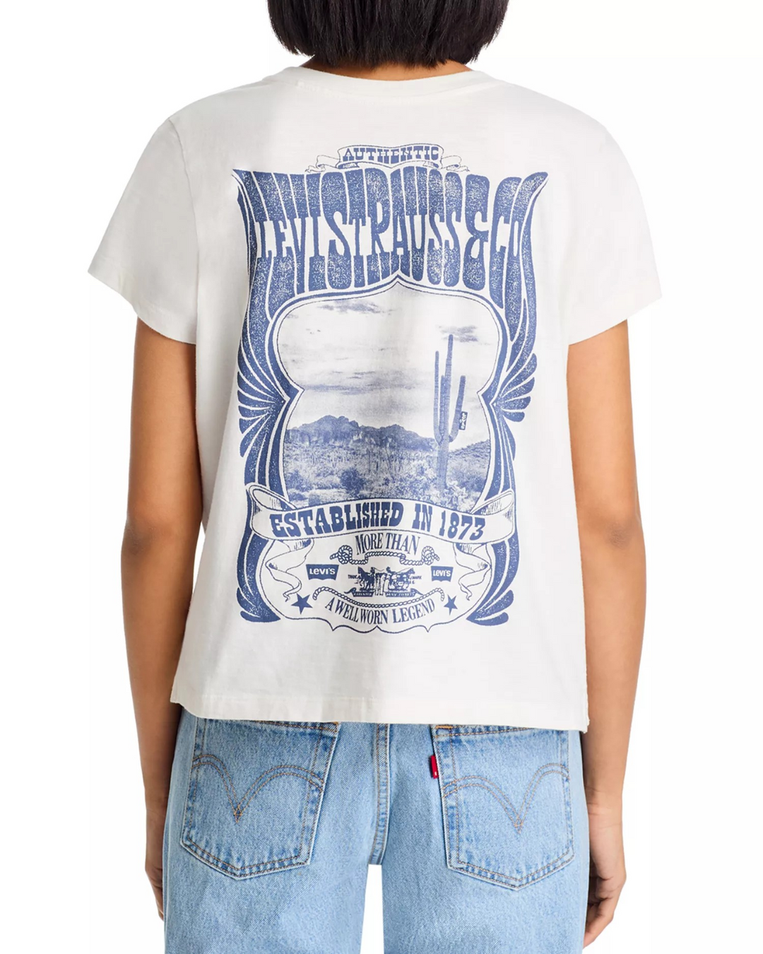 Levi's Canyon Poster Boxy Tee MSRP $29.50
