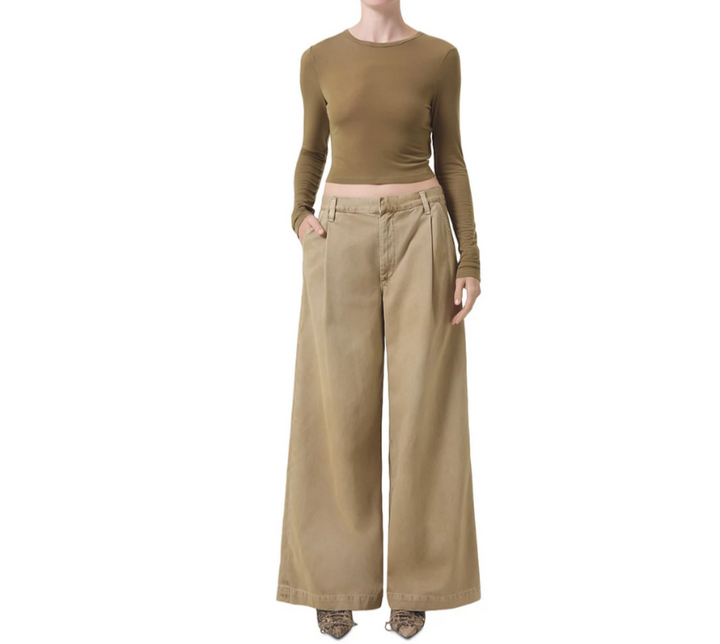 AGOLDE Daryl Wide Leg Pants MSRP $258