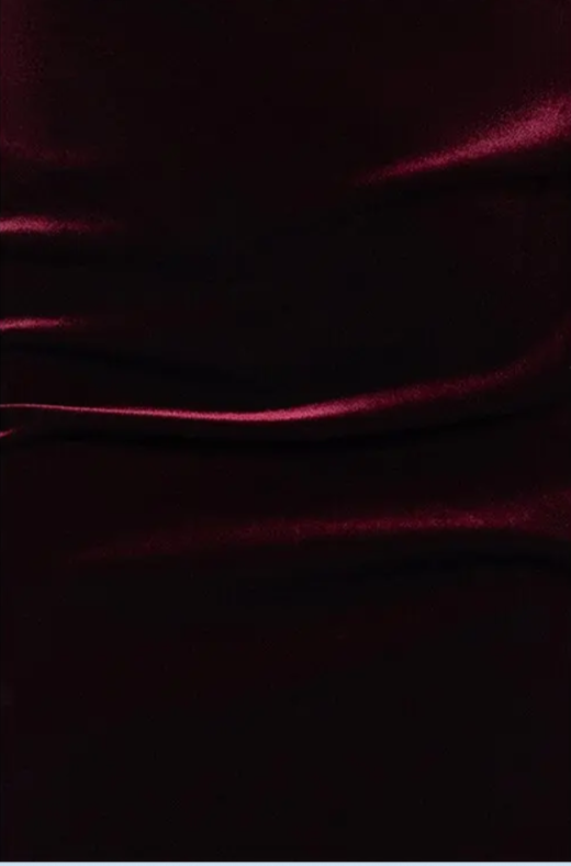 Betsy & Adam Plus Size Velvet Gown MSRP $268