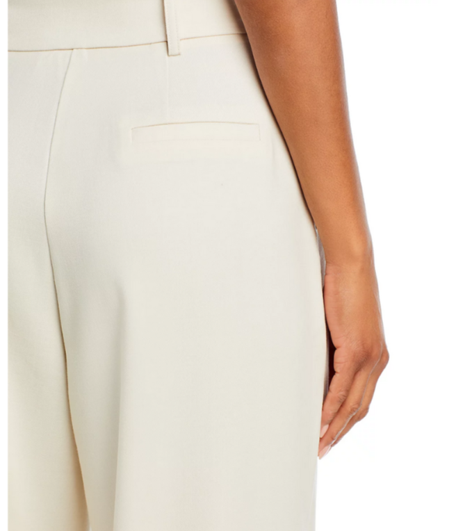 WAYF Dree Pleated Wide Leg Trousers MSRP $98