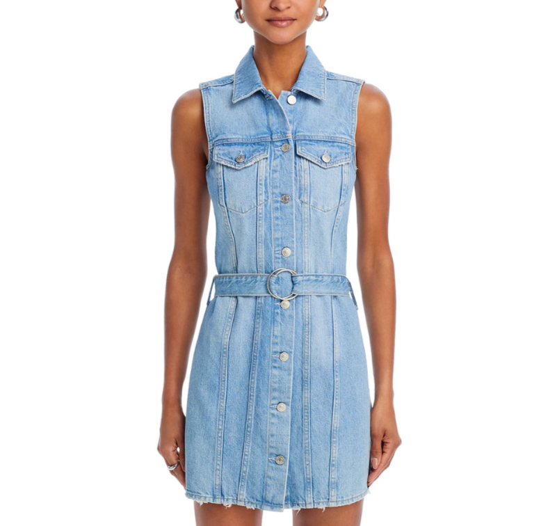Rails Wilshire Belted Denim Dress MSRP $228