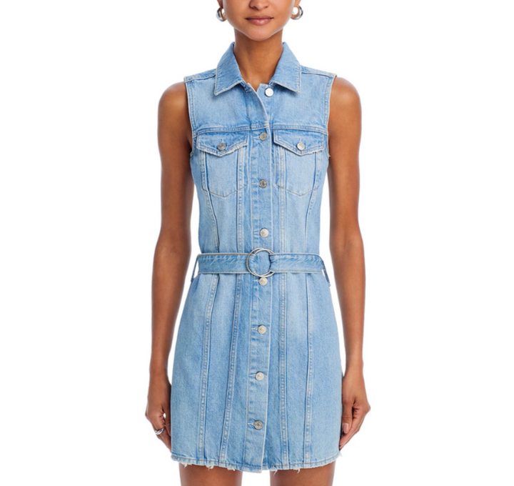 Rails Wilshire Belted Denim Dress MSRP $228