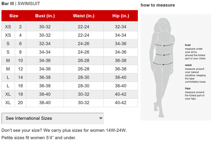 Bar III Resort Daze V-Wire One-Piece Swimsuit MSRP $68