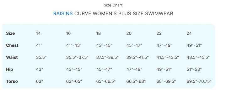 Raisins Curve Plus Size Costa Bikini Bottoms MSRP $50
