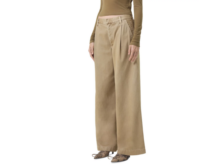 AGOLDE Daryl Wide Leg Pants MSRP $258