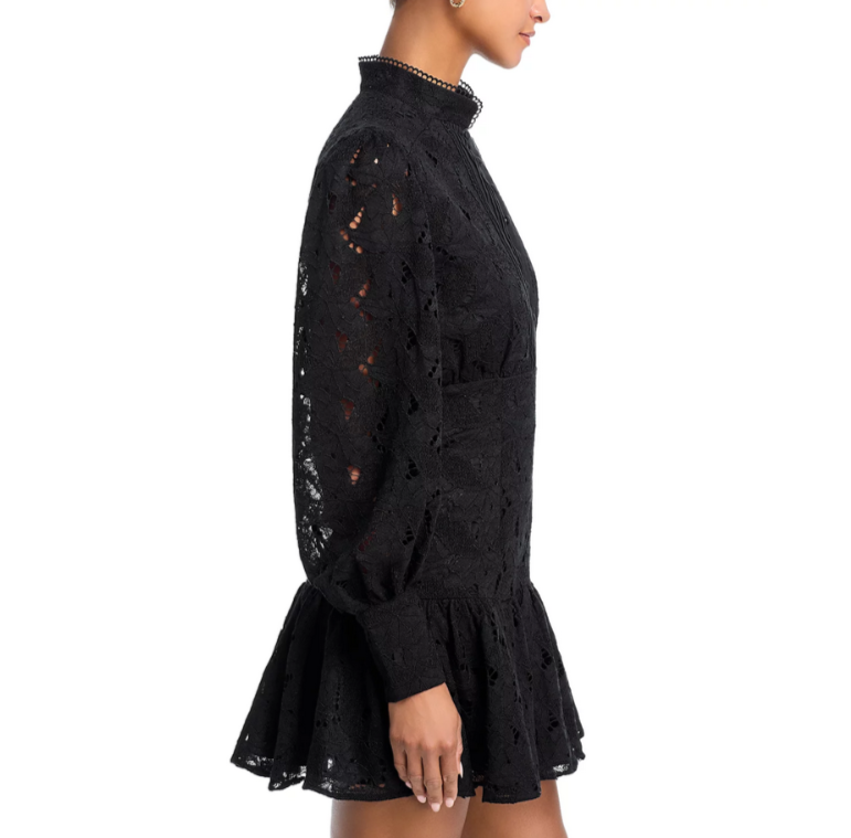 Bardot Remy Mini Lace Dress MSRP $90 DGFOutlet Bardot Remy Mini Lace Dress MSRP $90 DGFOutlet