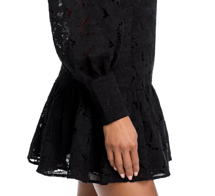 Bardot Remy Mini Lace Dress MSRP $90