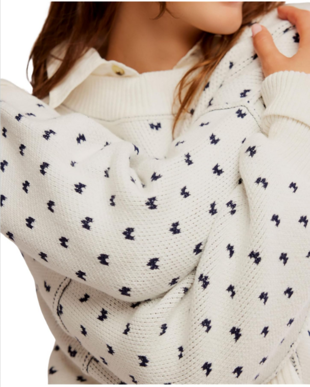 Free People Easy Street Patterned Crop Pullover Sweater MSRP $98