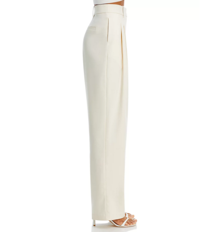 WAYF Dree Pleated Wide Leg Trousers MSRP $98