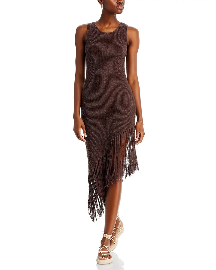Rails Rylee Fringed Dress MSRP $258