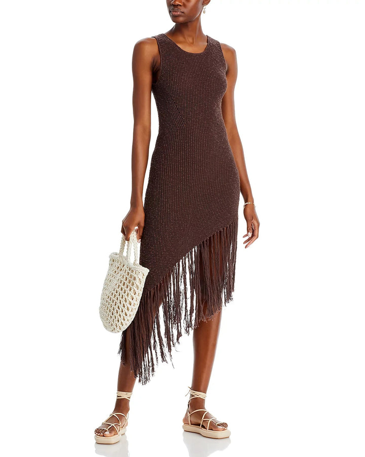 Rails Rylee Fringed Dress MSRP $258
