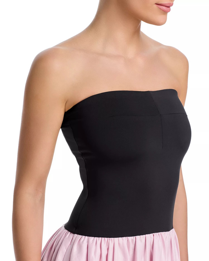 Ciao Lucia Giselle Colorblocked Dress MSRP $415