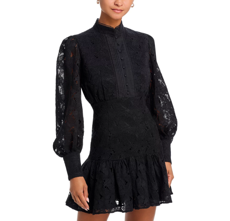Bardot Remy Mini Lace Dress MSRP $90