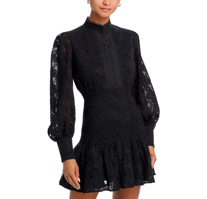 Bardot Remy Mini Lace Dress MSRP $90