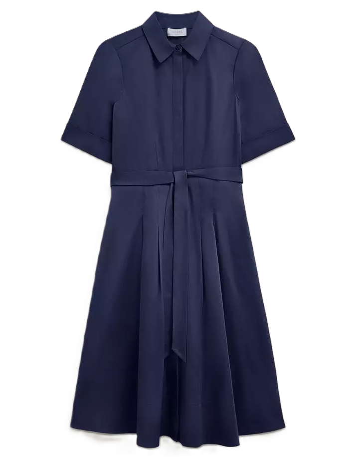 HOBBS LONDON Petites Brigitta Concealed Button Shirt Dress MSRP $335