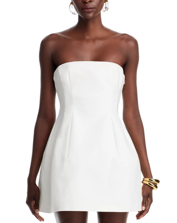 SIMKHAI Arta Bustier Mini Dress MSRP $445