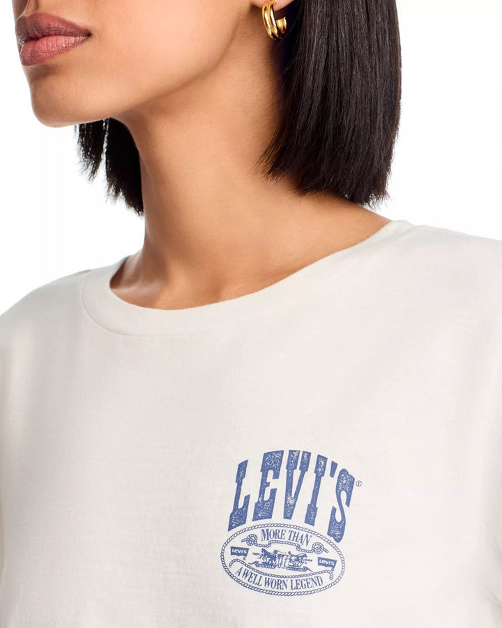 Levi's Canyon Poster Boxy Tee MSRP $29.50