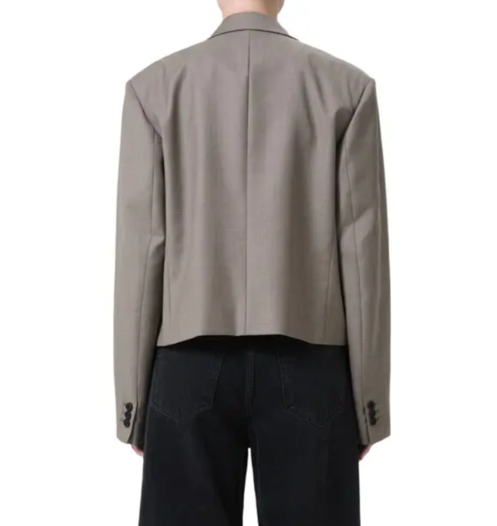 AGOLDE Callie Blazer MSRP $595