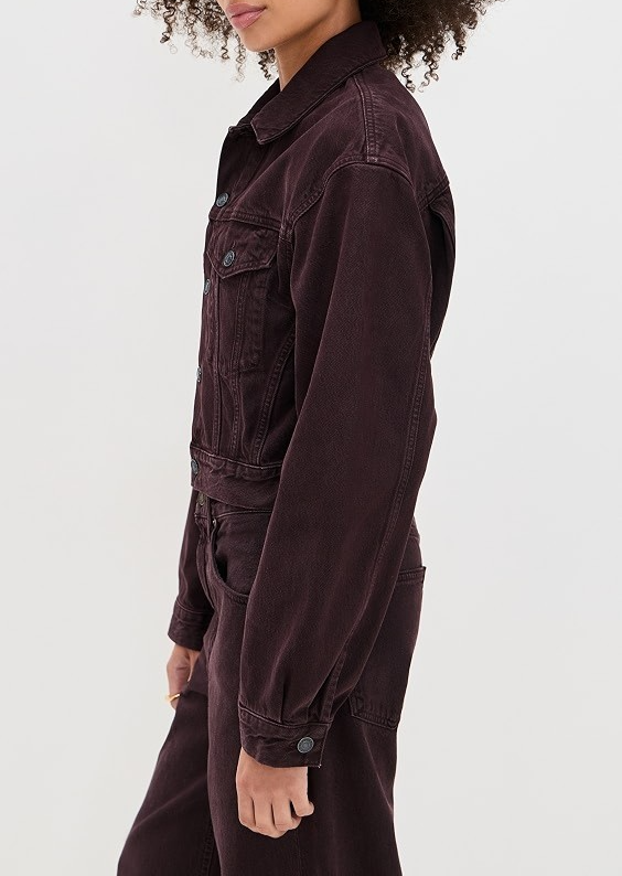 AGOLDE Radley Trucker Jacket MSRP $268