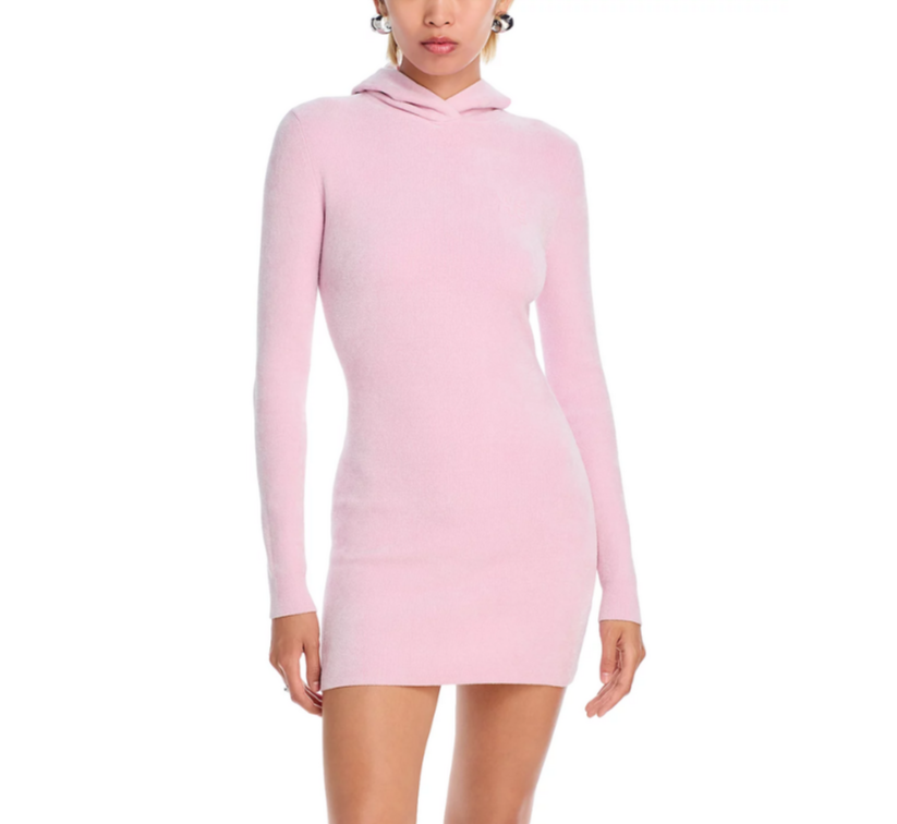 alexanderwang.t Hoodie Mini Dress MSRP $495