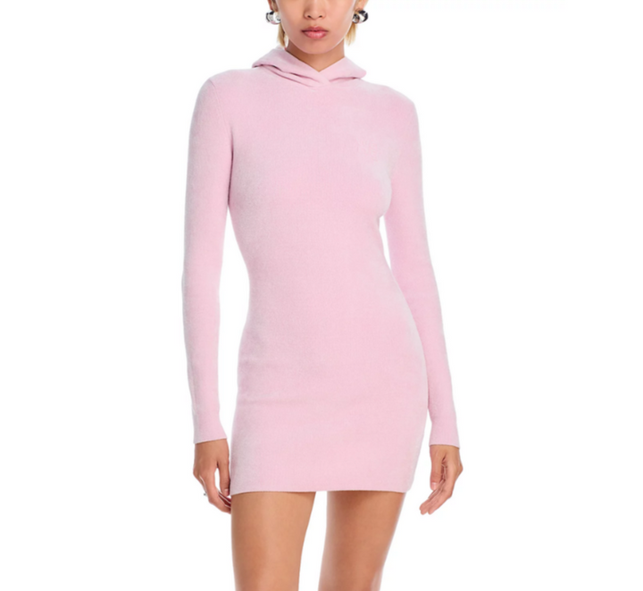 alexanderwang.t Hoodie Mini Dress MSRP $495
