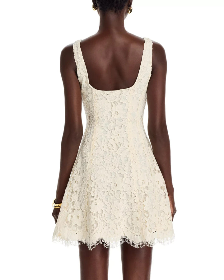 STEVE MADDEN Knightley Dress MSRP $134