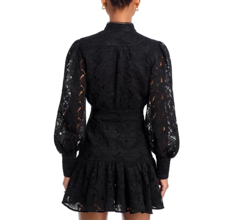 Bardot Remy Mini Lace Dress MSRP $90