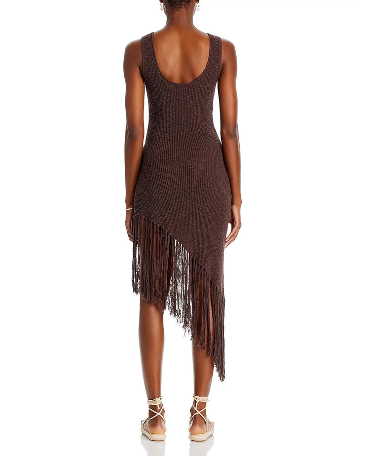 Rails Rylee Fringed Dress MSRP $258