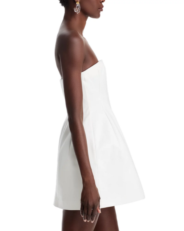 SIMKHAI Arta Bustier Mini Dress MSRP $445