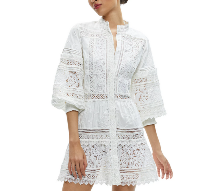 Alice and Olivia Cailin Tiered Tunic Dress MSRP $495