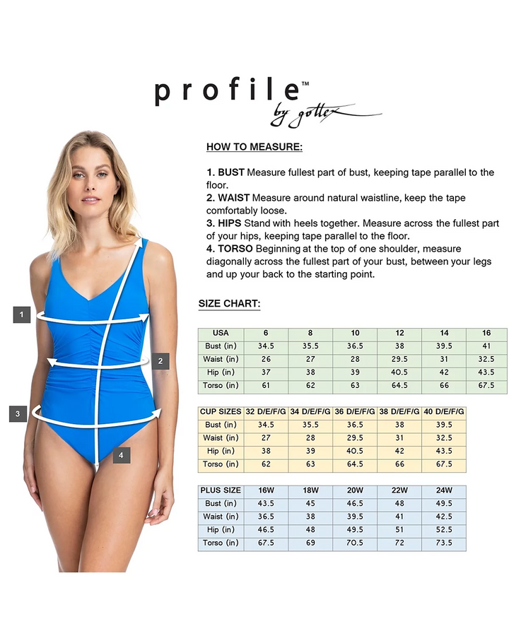Profile by Gottex Riga Tricolore Swimsuit MSRP $148