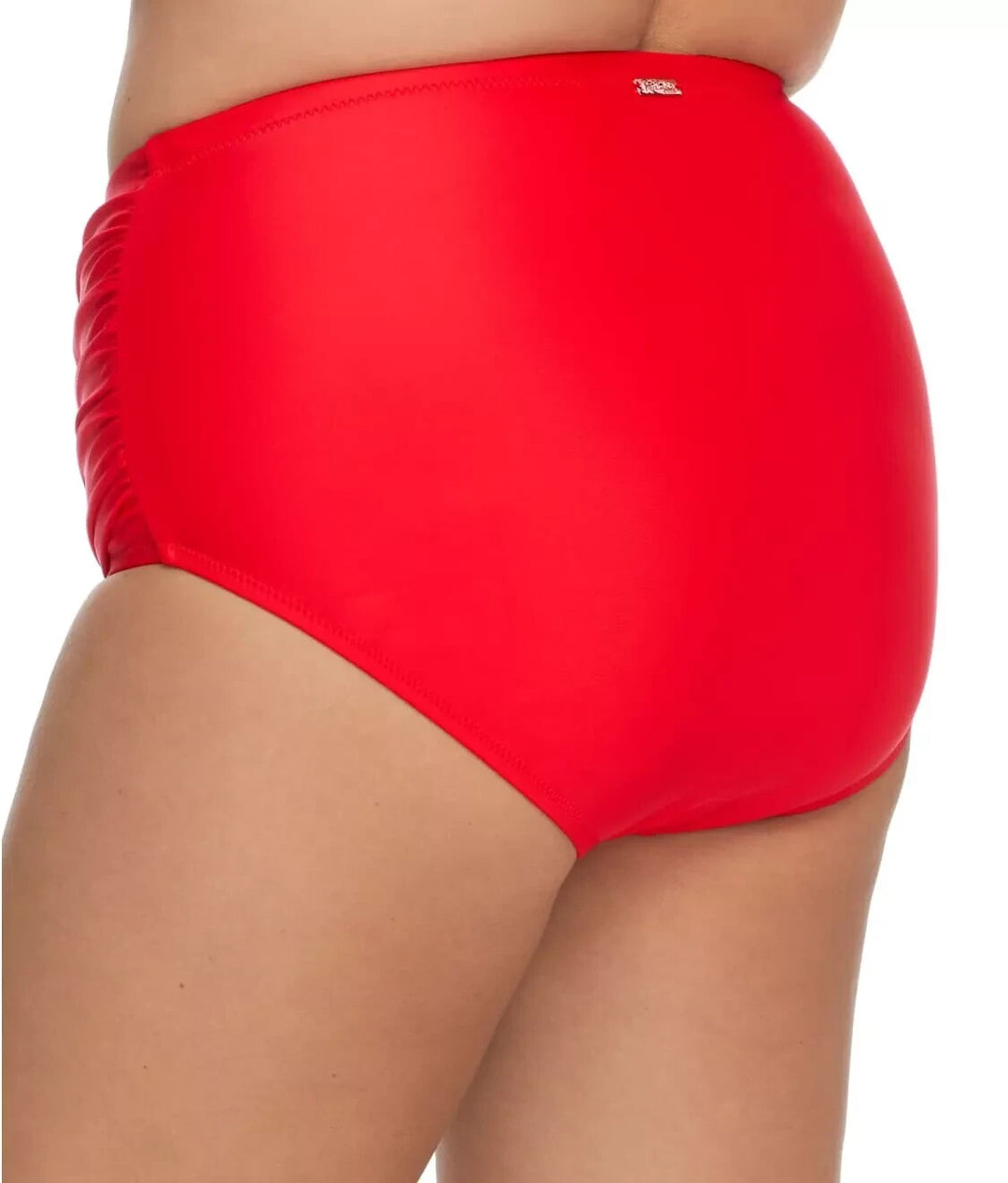 Raisins Curve Plus Size Costa Bikini Bottoms MSRP $50
